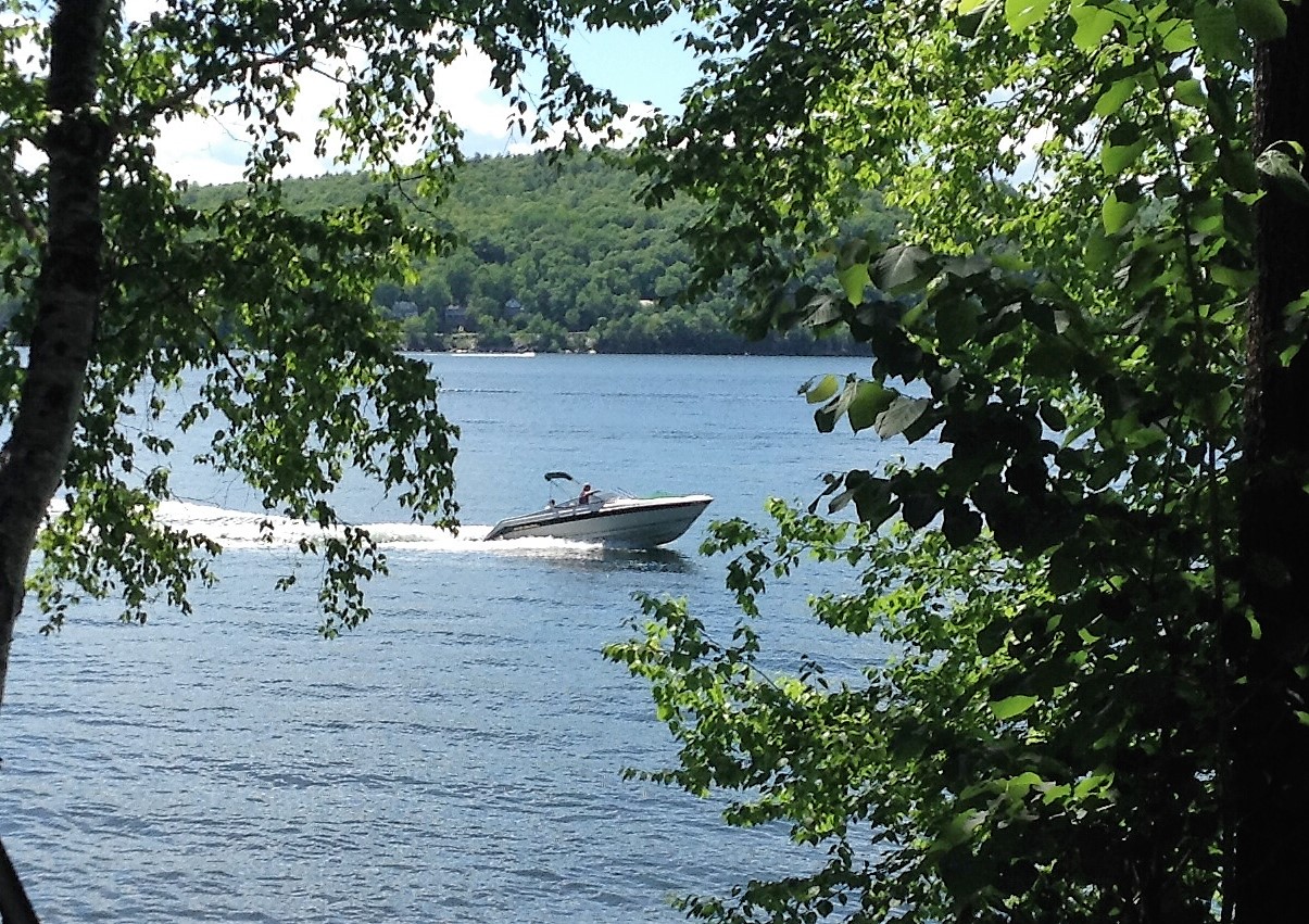 Lake Bomoseen VTLake St. CatherineLake HortoniaLocal Information